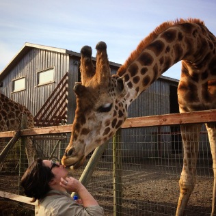 kissing a giraffe at b bryan preserve